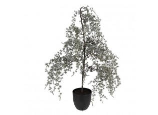 Vánoční dekorace cedrový stromek v květináči Cedar L - 40*40*85 cm