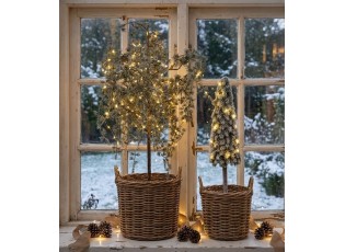 Vánoční dekorace cedrový stromek v květináči Cedar L - 40*40*85 cm