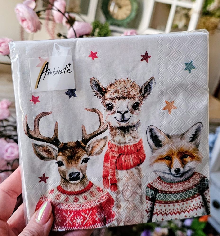 Bílé papírové ubrousky přátelé Friends - 33*33 cm (20ks)