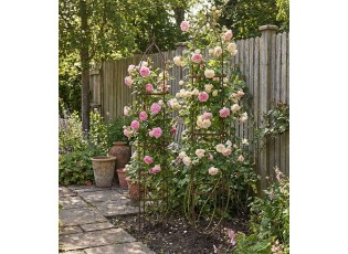 Set 2x treláž na pnoucí květiny Flowers - 31*31*180 / 26*26*162 cm