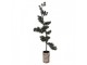 Mini Artificial Christmas Tree 35x35x100 Cm / 3xAAA Green Wood - 30*35*100 cm / 3*AAA Clayre & Eef
