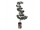 Mini Artificial Christmas Tree 28x28x80 Cm / 3xAAA Green Wood - 28*20*75 cm / 3*AAA Clayre & Eef