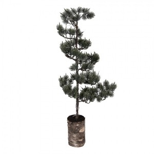 Dekorativní svítící jehličnatý stromek na podstavci Bonsai Tree LED M - 28*20*75 cm / 3*AAA