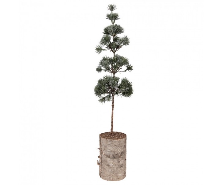 Mini Artificial Christmas Tree 14x14x60 Cm Green Wood - 14*14*60 cm Clayre & Eef