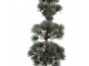 Mini Artificial Christmas Tree 14x14x60 Cm Green Wood - 14*14*60 cm Clayre & Eef