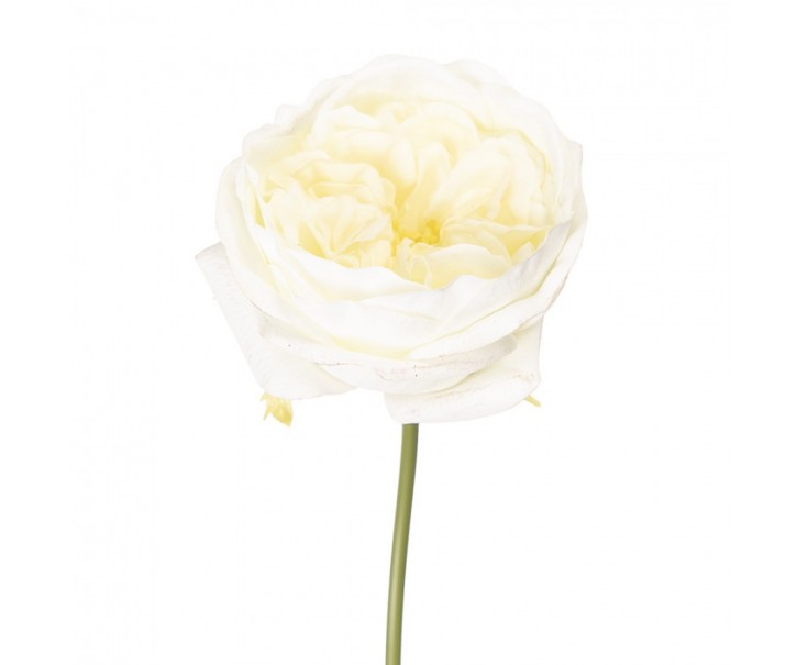Artificial Flower Rose 35 Cm White Plastic - 9*9*35 cm Clayre & Eef