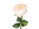 Artificial Flower Rose 43 Cm White Plastic - 9*9*43 cm Clayre & Eef