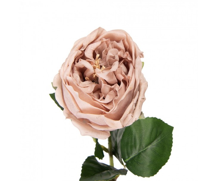 Artificial Flower Rose 43 Cm Beige Plastic - 9*9*43 cm Clayre & Eef