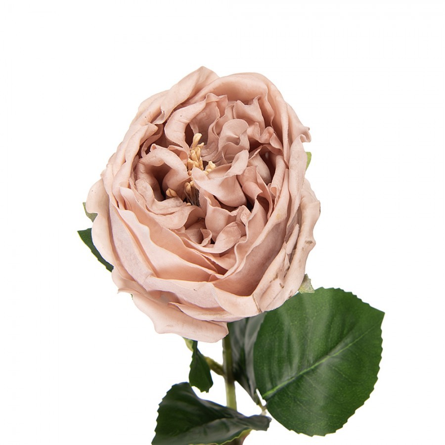 Artificial Flower Rose 43 Cm Beige Plastic - 9*9*43 cm