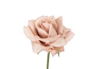 Artificial Flower Rose 35 Cm Beige Plastic - 10*10*35 cm