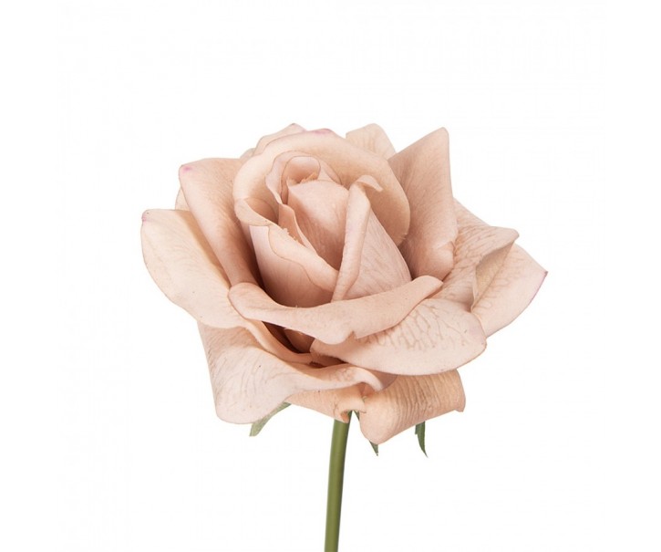 Artificial Flower Rose 35 Cm Beige Plastic - 10*10*35 cm Clayre & Eef