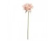 Artificial Flower Rose 35 Cm Beige Plastic - 10*10*35 cm Clayre & Eef