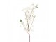 Větvička třešeň s bílými květy Cherry Blossom - 10*12*90 cm Clayre & Eef