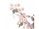 Umělý stromek třešeň s růžovými květy Cherry Blossom- 30*30*120 cm Clayre & Eef