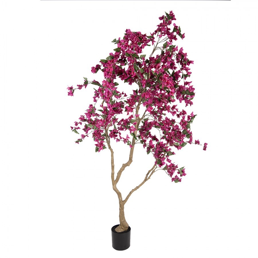 Levně Stromek s růžovými květy Bougainvillea Tree - 125*125*210 cm 5PL0221