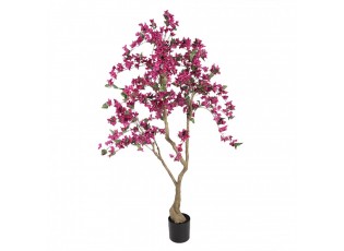 Stromek s růžovými květy Bougainvillea Tree - 80*80*180 cm