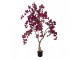 Stromek s růžovými květy Bougainvillea Tree - 100*100*150 cm Clayre & Eef