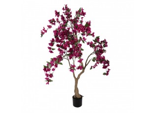 Stromek s růžovými květy Bougainvillea Tree - 100*100*150 cm