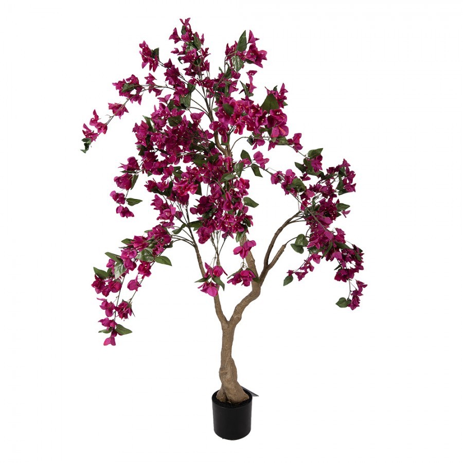 Stromek s růžovými květy Bougainvillea Tree - 100*100*150 cm