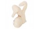 Decorative Cushion Rabbit 18x10x35 Cm Beige Polyester - 18*10*35 cm Clayre & Eef