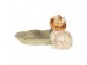 Decorative Bowl Rabbit 14x12x8 Cm Beige Plastic - 14*11*8 cm Clayre & Eef