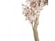 Dekorační strom třešeň s růžovými květy Cherry Blossom - 150*100*320 cm Clayre & Eef