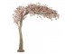 Dekorační strom třešeň s růžovými květy Cherry Blossom - 150*100*320 cm Clayre & Eef