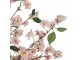 Dekorační strom třešeň s růžovými květy Cherry Blossom - 130*130*250 cm Clayre & Eef