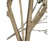 Dekorační strom olivovník s olivami Olea Tree - 140*130*250 cm Clayre & Eef
