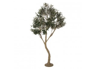 Dekorační strom olivovník s olivami Olea Tree - 140*130*250 cm