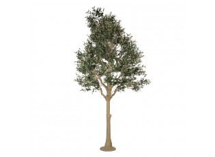 Dekorační strom olivovník s olivami Olea Tree - 170*150*320 cm