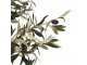 Dekorační strom olivovník s olivami Olea Tree - 170*150*320 cm Clayre & Eef
