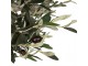 Dekorační strom olivovník s olivami Olea Tree - 170*150*320 cm Clayre & Eef