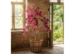 Stromek s růžovými květy Bougainvillea Tree - 100*100*150 cm