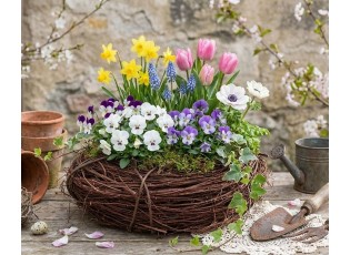 Hnědý květináč věnec z jilmových větví Elm Branch - Ø 30*10 cm