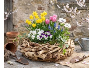 Květináč z naplaveného dřeva Driflwood - Ø 45*12 cm