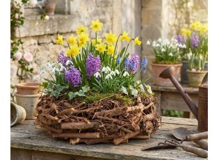 Hnědý květináč věnec z kořenů Root Wood - Ø 30 cm