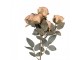 Artificial Flower Rose 43 Cm Brown Plastic - 8*13*43 cm Clayre & Eef