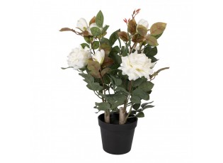 Dekorační květina růže s bílými květy Rose white - 20*20*55 cm