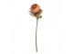 Artificial Flower 62 Cm Orange Plastic - 11*11*62 cm Clayre & Eef