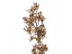 Artificial Flower 95 Cm White Plastic - 10*10*95 cm Clayre & Eef
