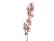Artificial Flower 95 Cm Pink Plastic - 10*10*95 cm Clayre & Eef