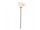 Artificial Flower 65 Cm Beige Plastic - 16*16*65 cm Clayre & Eef