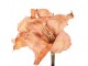 Artificial Flower 65 Cm Orange Plastic - 16*16*65 cm Clayre & Eef