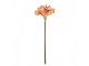 Artificial Flower 65 Cm Orange Plastic - 16*16*65 cm Clayre & Eef