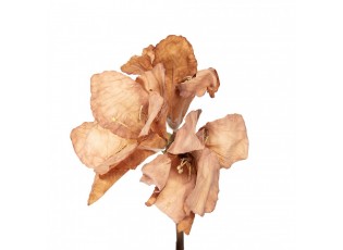 Artificial Flower 65 Cm Brown Plastic - 16*16*65 cm