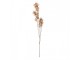 Artificial Flower 120 Cm Beige Plastic - 14*16*120 cm Clayre & Eef
