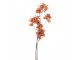 Artificial Flower 120 Cm Orange Plastic - 14*16*120 cm Clayre & Eef