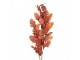 Artificial Flower 108 Cm Orange Plastic - 10*15*108 cm Clayre & Eef