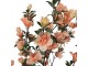 Dekorační stromek Magnolia s lososovými květy - 20*20*135 cm Clayre & Eef